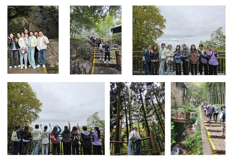 1762846045333566.png 未标题-7.png